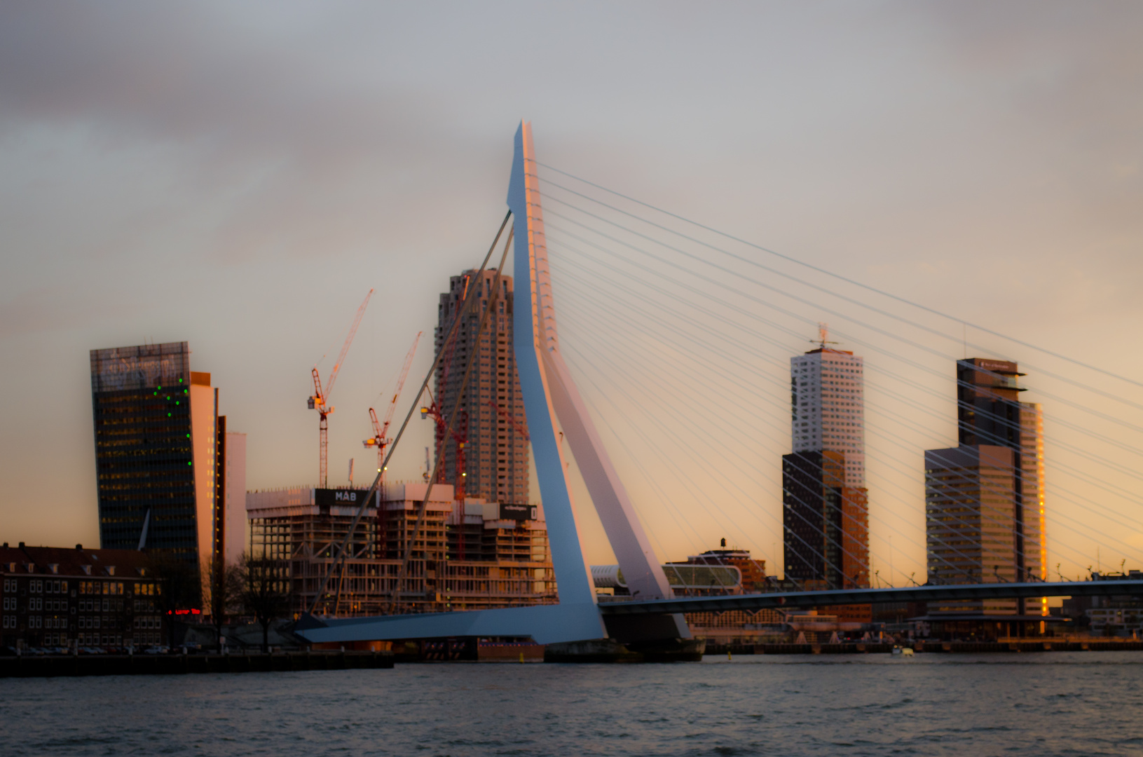 Erasmusbrug bei Sonnenuntergang