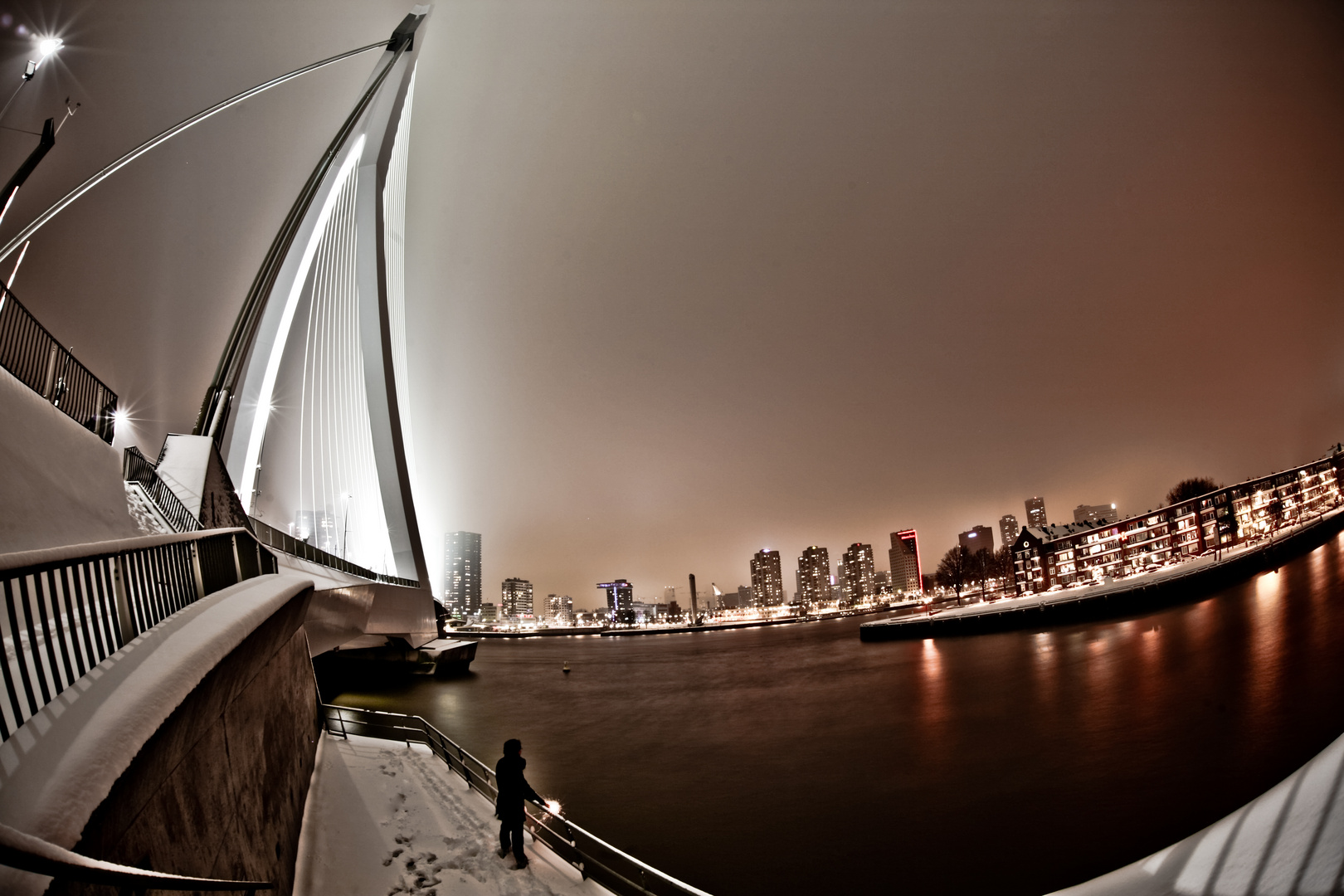 Erasmusbrug bij nacht