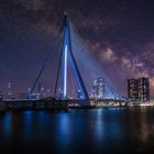 Erasmusbrug (De Zwaan) - Rotterdam (NL)