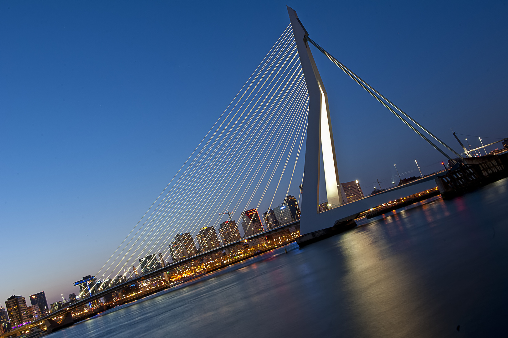 Erasmusbrug Rotterdam