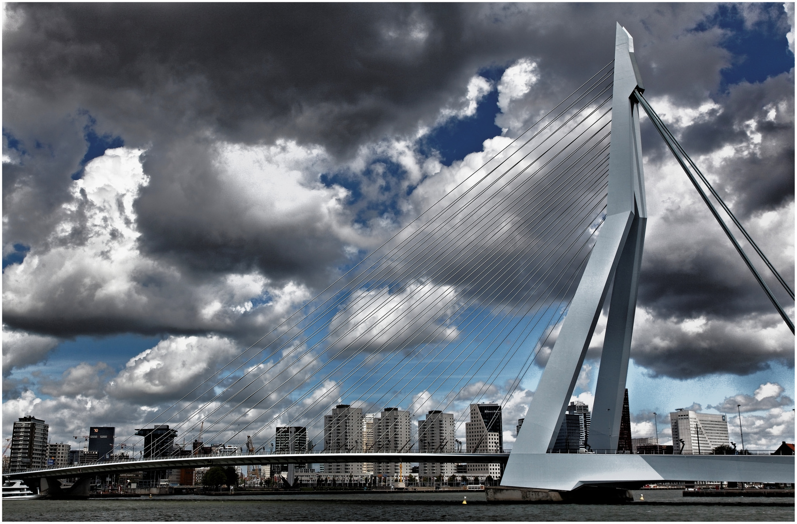 Erasmusbrug Rotterdam