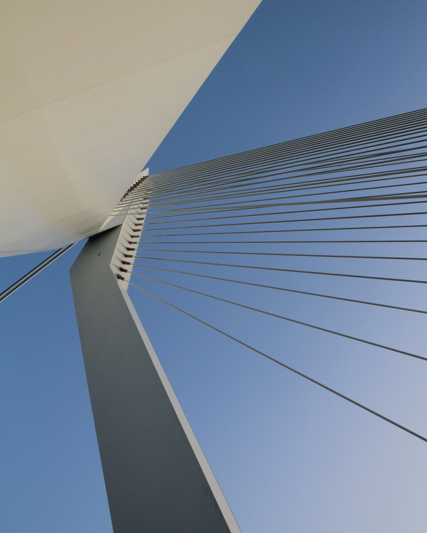 Erasmusbrug - Rotterdam