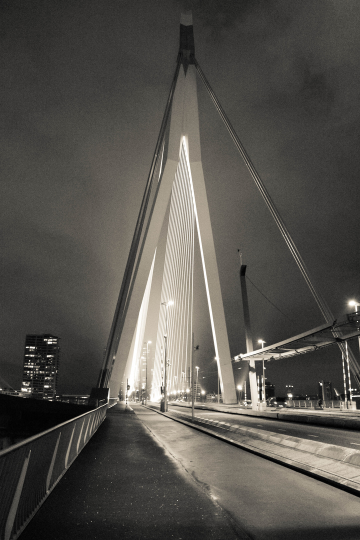 Erasmusbrug Rotterdam