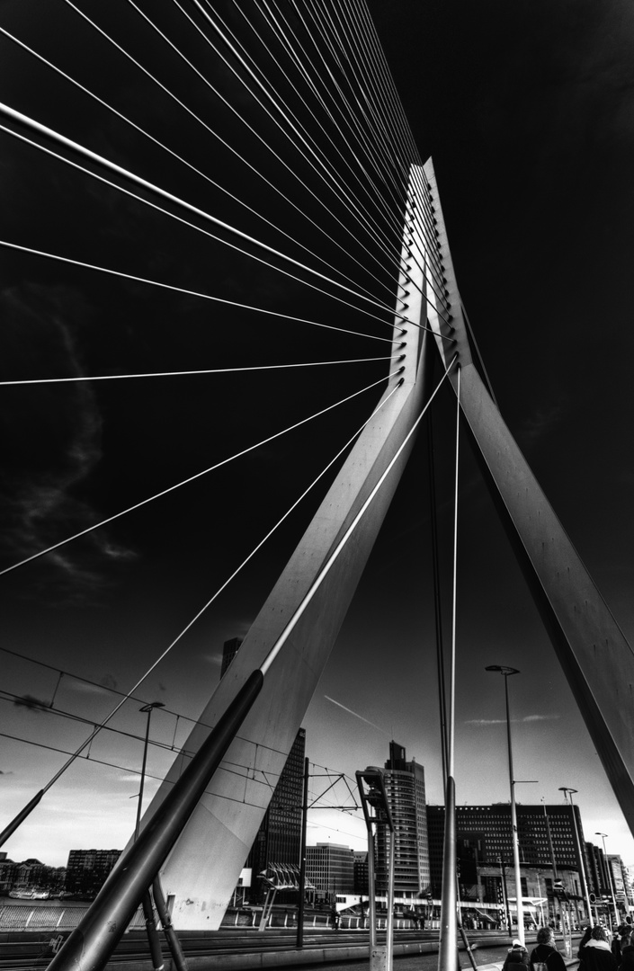 Erasmusbrug Rotterdam