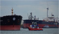 ERATO /Tanker / Calandkanal / Rotterdam