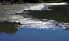 erbe sul lago o guichard, savoia  (copertina)