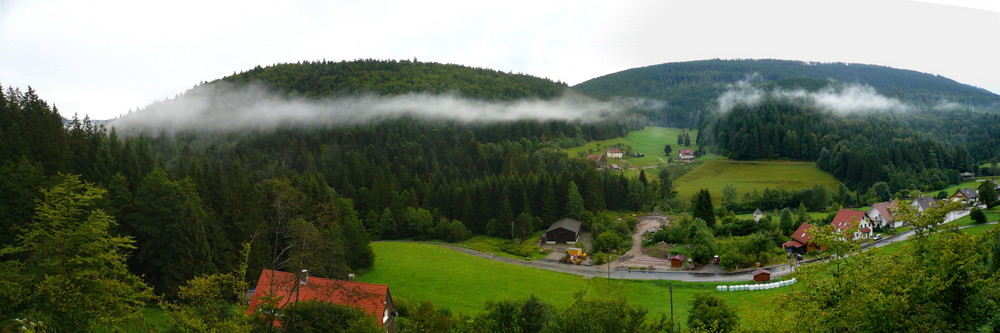 Erbersbronn - Panorama - von der Naturfreundehaus gesehen