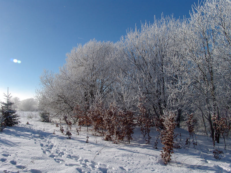 Erbeskopf im Winter