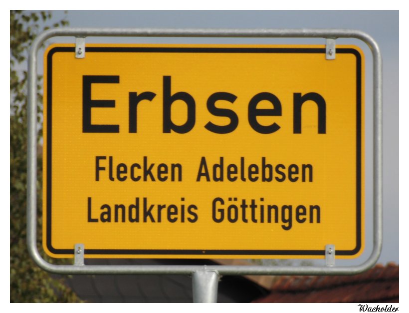 Erbsen