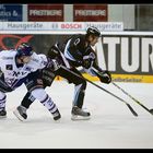 ERC Ingolstadt - Adler Mannheim 0 : 6