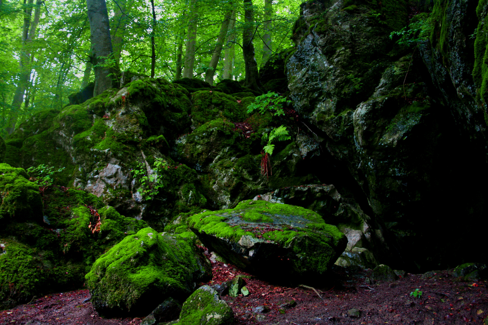 Erdbacher Wald,Steinkammerhöhlen