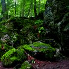 Erdbacher Wald,Steinkammerhöhlen