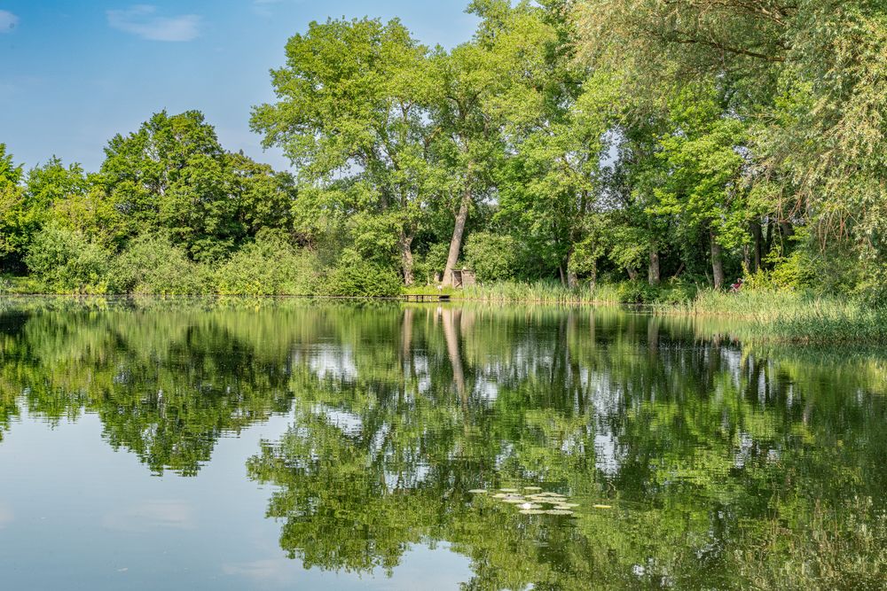 Erdbeer-Cafe´am See II - Hannover