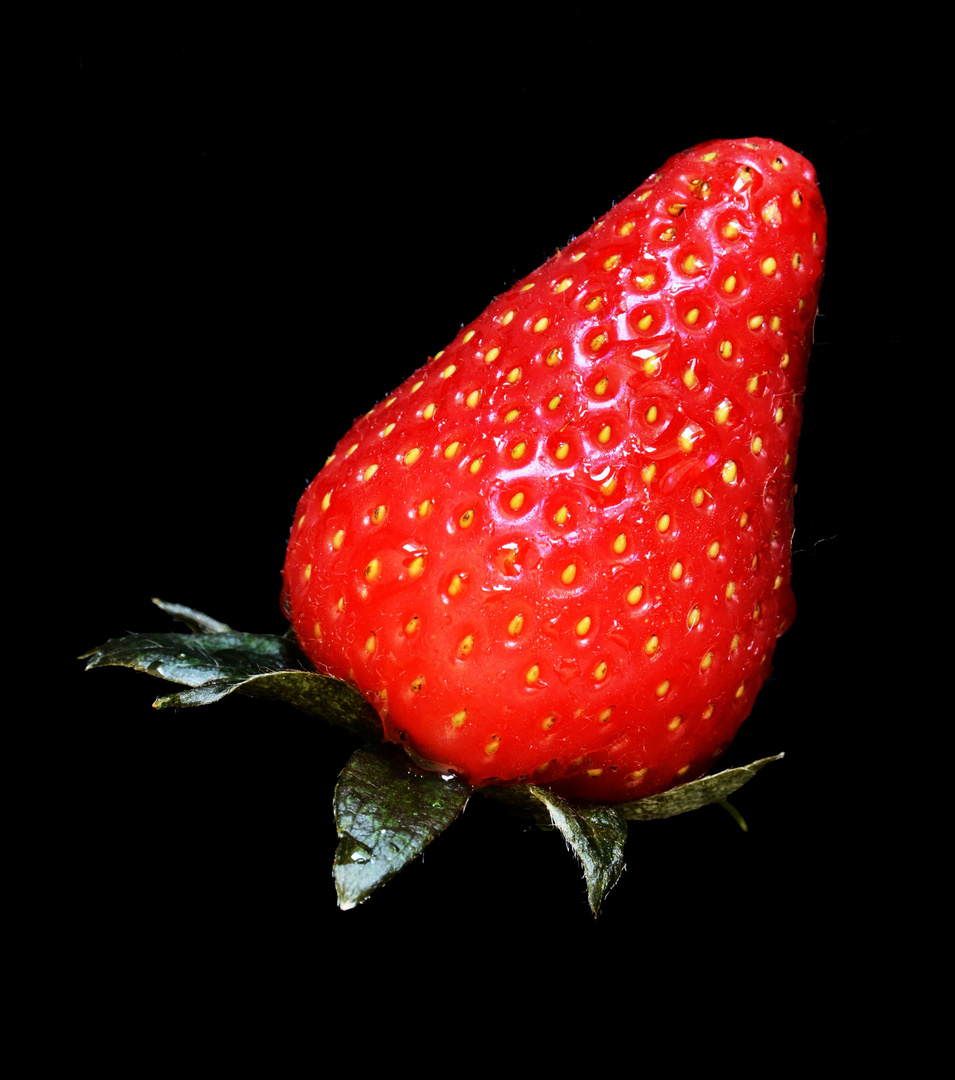 Erdbeere