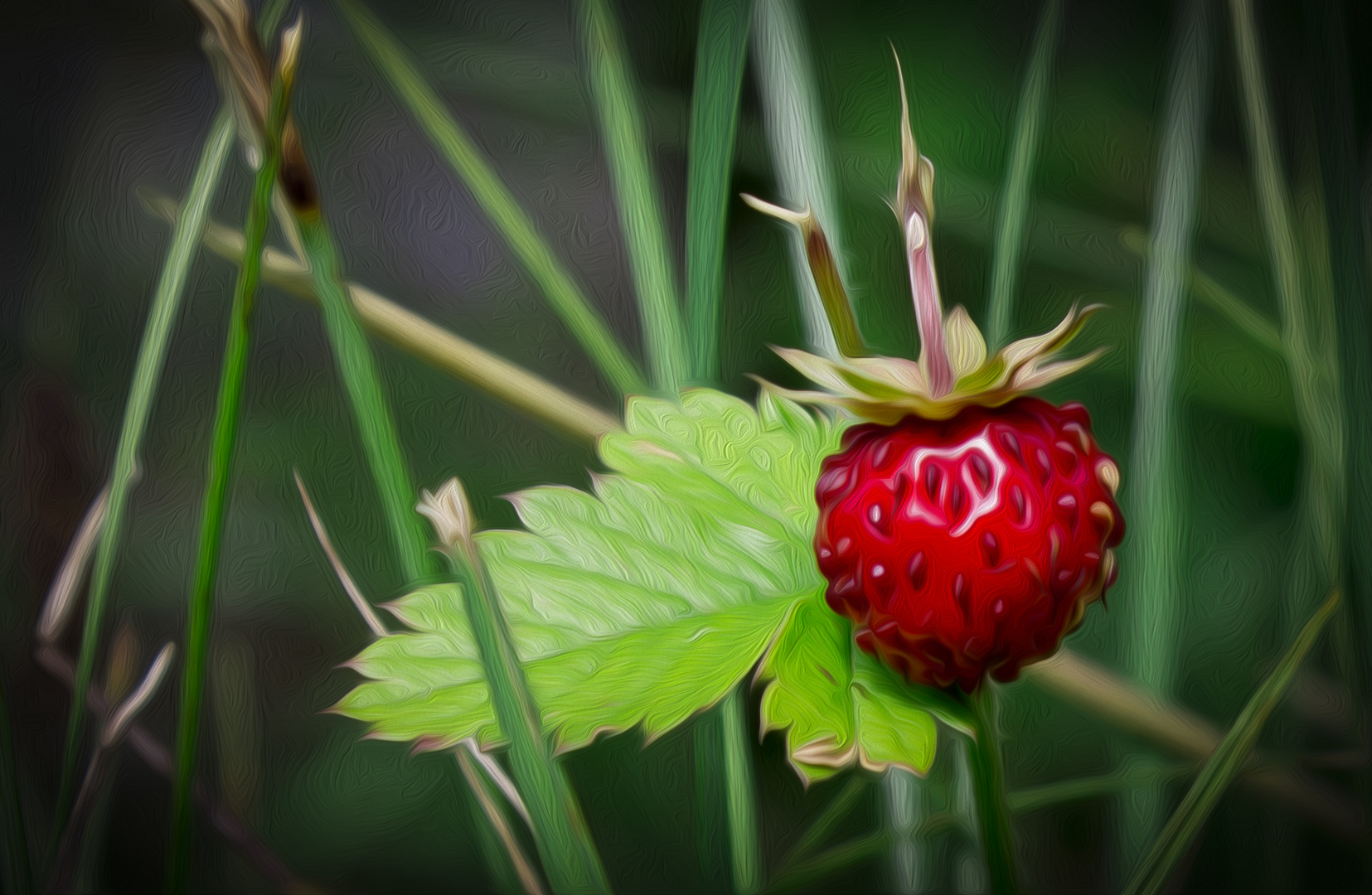 Erdbeere am Wegesrand