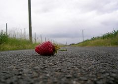 Erdbeere auf dem Jakobsweg