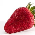 Erdbeere I