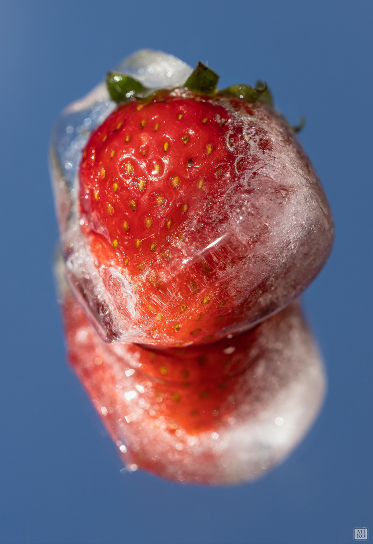 Erdbeere im Eiswürfel
