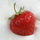 Erdbeere in Joghurt