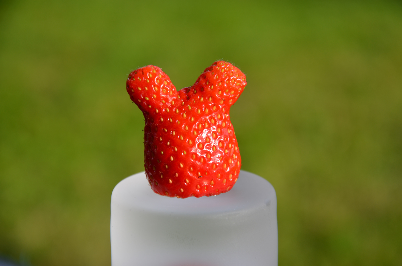 Erdbeere mit Ohren?