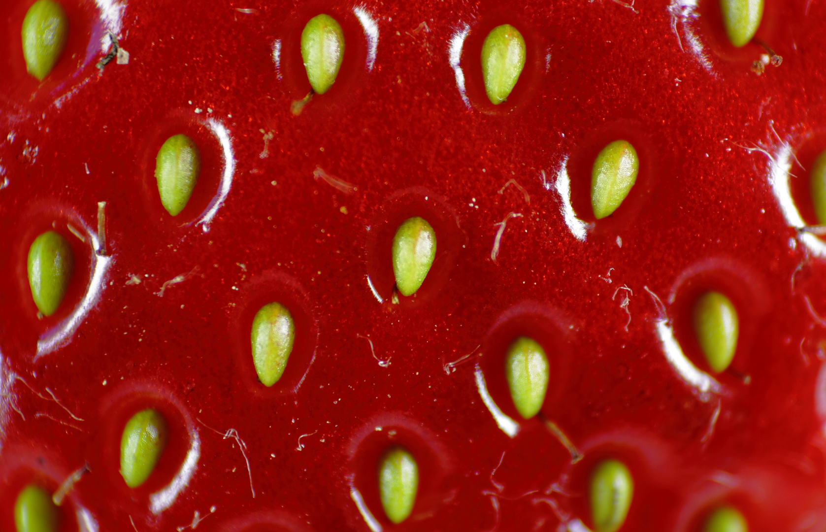 Erdbeere - Oberfläche