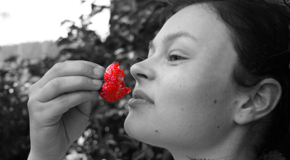 Erdbeere reload
