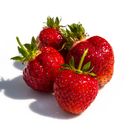 Erdbeeren