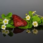 Erdbeeren