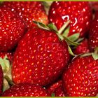 Erdbeeren 1