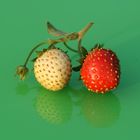 Erdbeeren 10 (Makro)