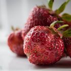 Erdbeeren