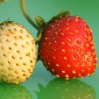 Erdbeeren 2 (Makro)