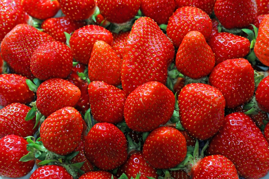 Erdbeeren