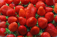 Erdbeeren