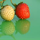 Erdbeeren 3 (Makro)