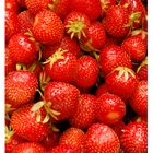 erdbeeren