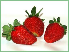 Erdbeeren