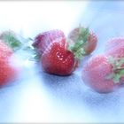 Erdbeeren