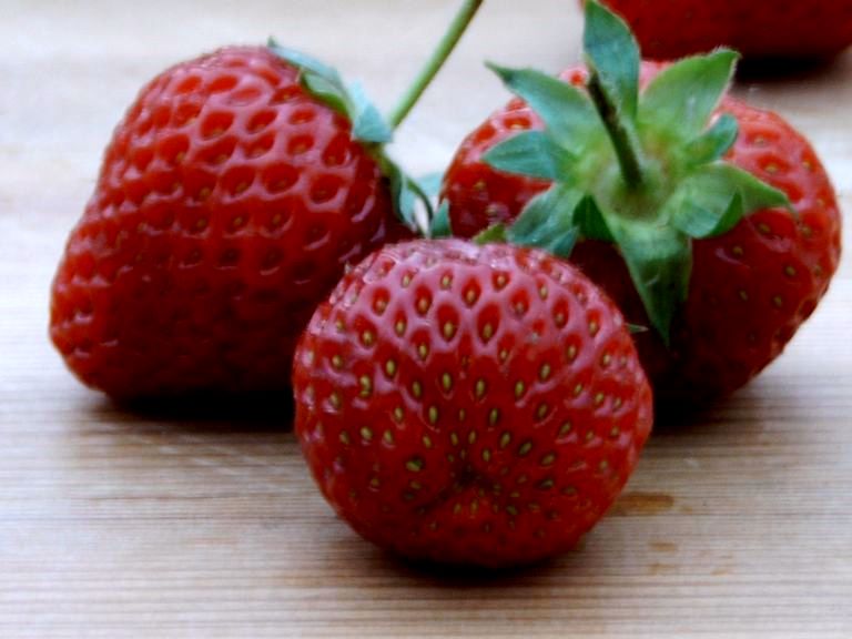 Erdbeeren