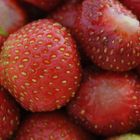 Erdbeeren