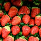 Erdbeeren auf dem Markt