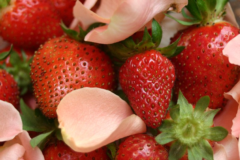 Erdbeeren auf Rosenblüten