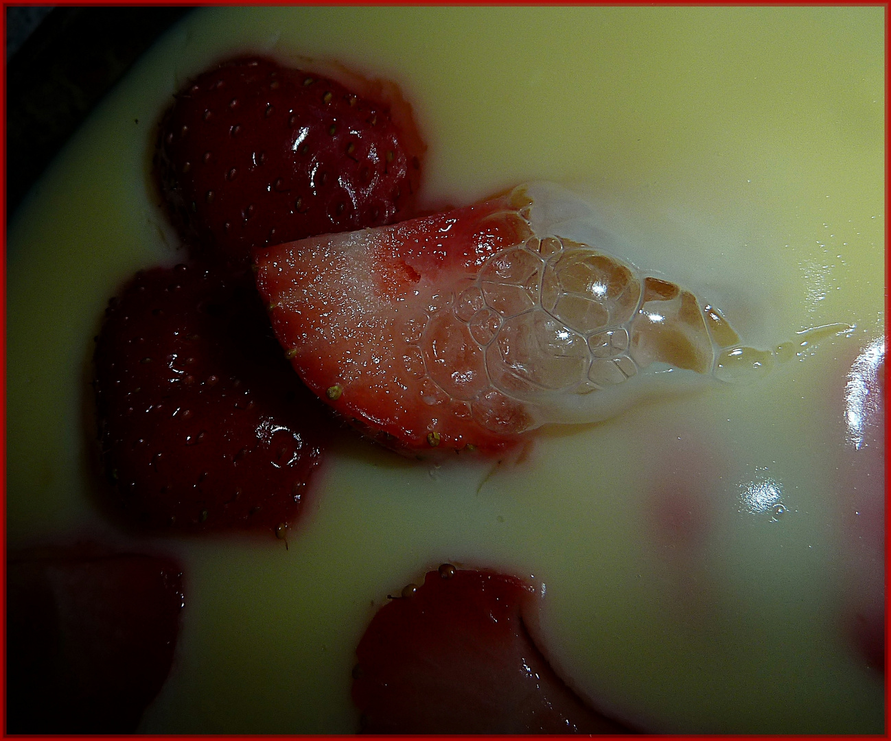 Erdbeeren auf Vanillepudding