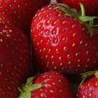 Erdbeeren