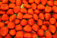 Erdbeeren