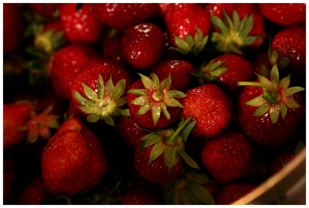 Erdbeeren