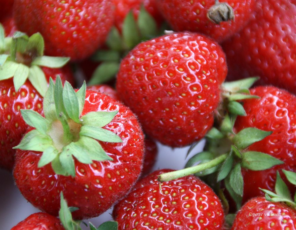 Erdbeeren Foto &amp; Bild | food, rot, natur Bilder auf fotocommunity