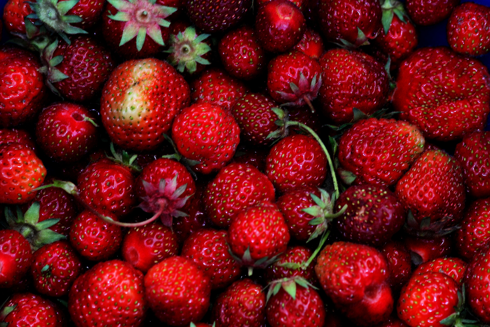 Erdbeeren Ernte