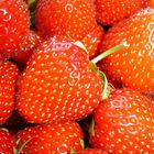 Erdbeeren