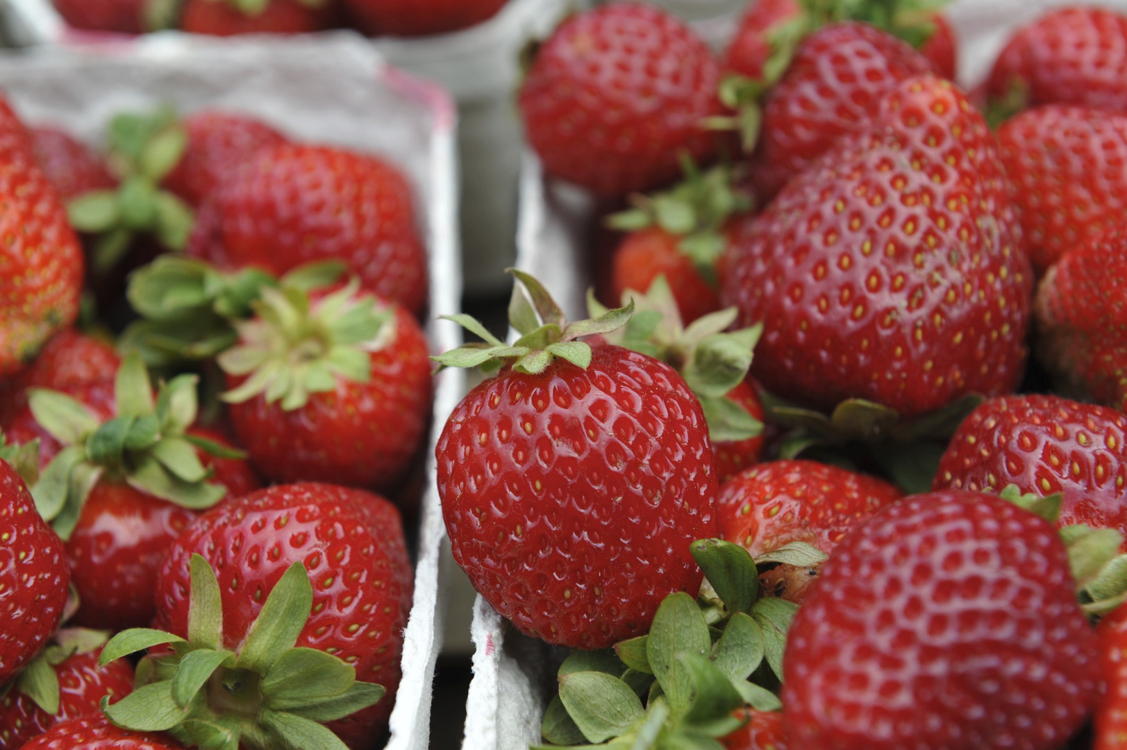 Erdbeeren, Freiburg Münstermarkt